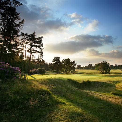 西山高尔夫俱乐部 West Hill Golf Club | 伦敦高尔夫  | 英格兰高尔夫 | 英国高尔夫球场俱乐部 | 欧洲高尔夫 商品图0