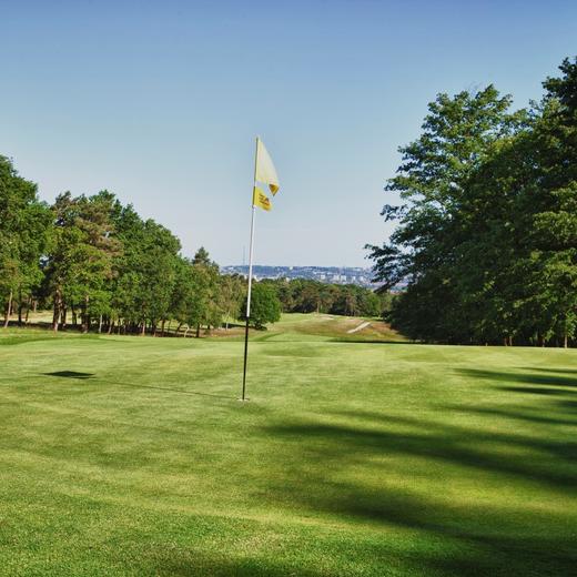 阿丁顿高尔夫俱乐部 The Addington Golf Club | 伦敦高尔夫  | 英格兰高尔夫 | 英国高尔夫球场俱乐部 | 欧洲高尔夫 商品图1