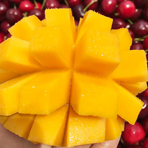 爆款美田甄选台湾爱文芒果单果约320克