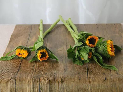 向日葵5枝 商品图1