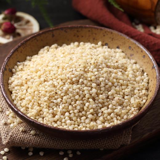 高粱米500g干净无杂质煮出来的高粱米粥汤汁粘稠汤色粉红口感润滑米香