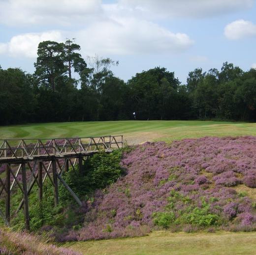 阿丁顿高尔夫俱乐部 The Addington Golf Club | 伦敦高尔夫  | 英格兰高尔夫 | 英国高尔夫球场俱乐部 | 欧洲高尔夫 商品图2