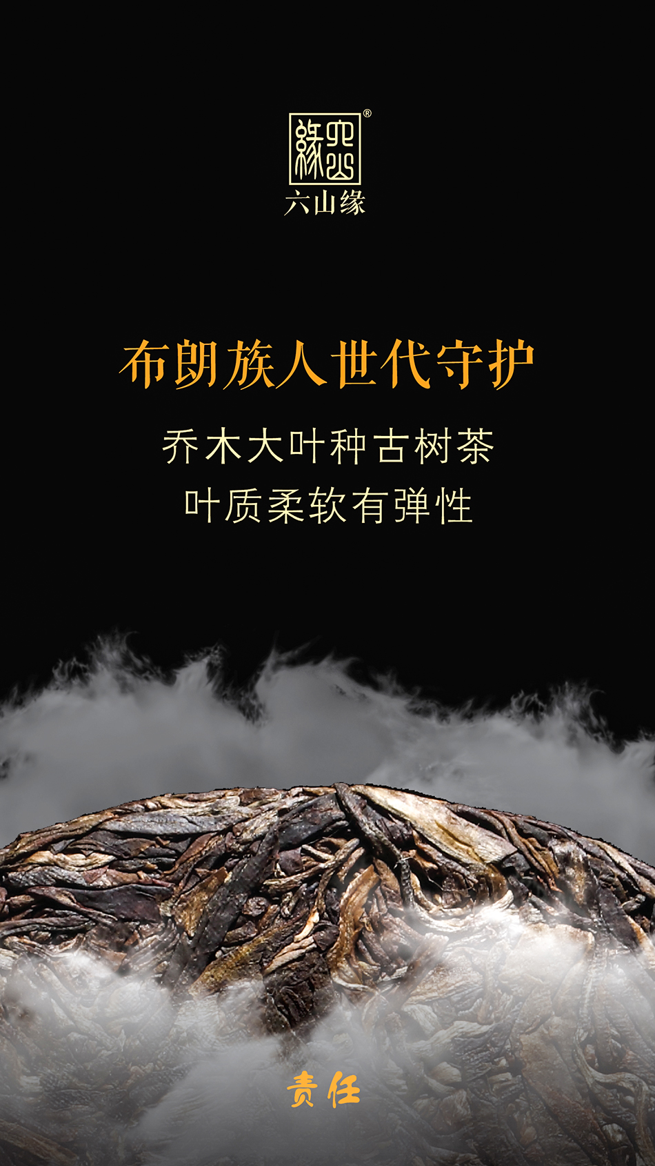 2015年布朗古树普洱生茶饼茶357g传承系列责任