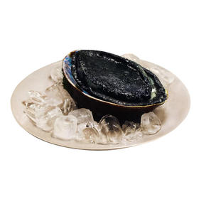 【新西兰进口-冰冻黑金鲍 400-500g/只】【NZ-Black abalone 400-500g/each】