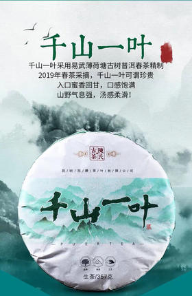 236     翻仓库找到●千山一叶●2019春●茶，千山而取一叶，精心制作，易武薄荷塘，静心净心，茶滋味沁入心田