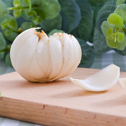 丨生态丨多年生兰州新鲜百合 生态种植 商品图8