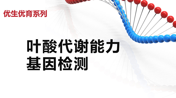 叶酸代谢能力基因检测