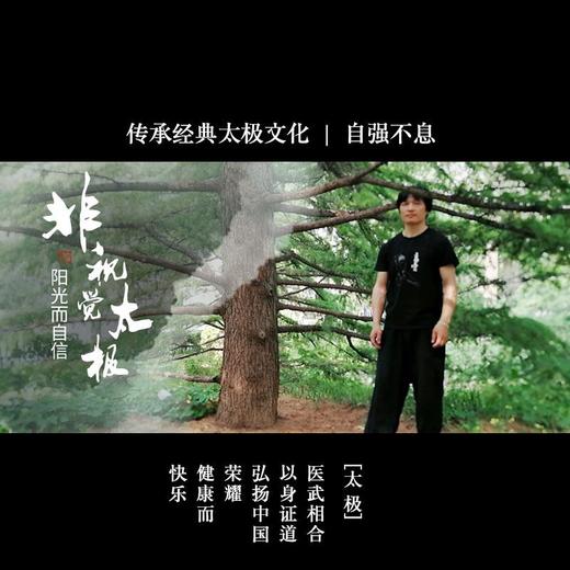 答摩太极纯棉T恤-上古问天真系列 三色可选 商品图3