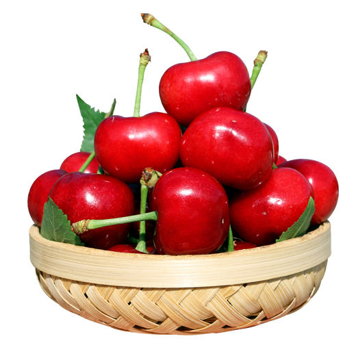 北京本地美早大樱桃新鲜现摘 皮薄肉厚爆甜红樱桃车厘子 应季水果  1斤/2斤 商品图6
