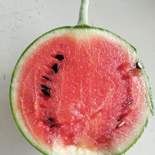 迷你红肉西瓜约4斤(3~4个)广东中山 东哥腾龙果场【不发快递】