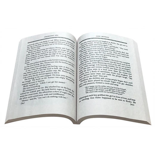 【中商原版】草莓女孩 英文原版 STRAWBERRY GIRL 1946年纽伯瑞金奖作品 60周年版本 儿童文学 商品图3