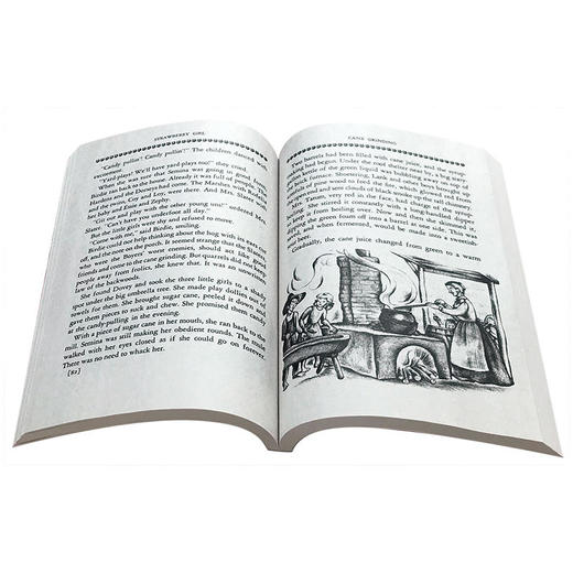 【中商原版】草莓女孩 英文原版 STRAWBERRY GIRL 1946年纽伯瑞金奖作品 60周年版本 儿童文学 商品图4