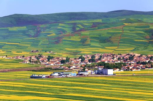 【丝路小环线】青海湖+塔尔寺+茶卡+张掖丹霞+祁连+卓尔山+莫高窟+月牙泉7日游 商品图1