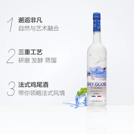 法国灰雁伏特加750ml 商品图2