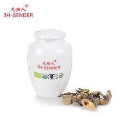 光照人有机沉香果和沉香叶