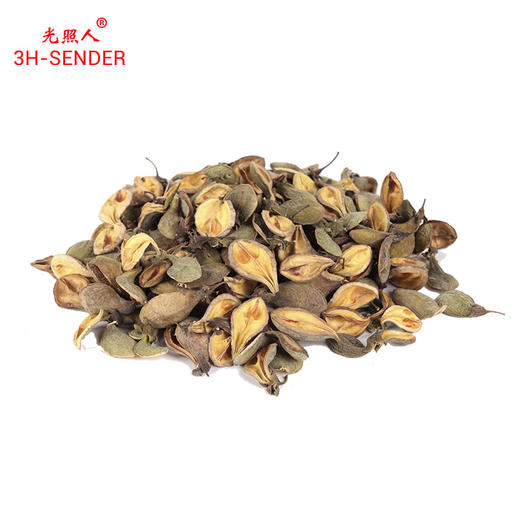 光照人有机沉香果和沉香叶 商品图3