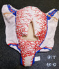 【顺丰速发】6种现货：妊娠子宫二维血管构造软体模型（多切口可选） 商品缩略图2