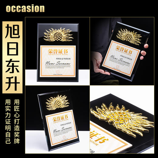 金属太阳水晶奖牌定制定做奖杯企业加盟代理荣誉证书授权牌制作 商品图1