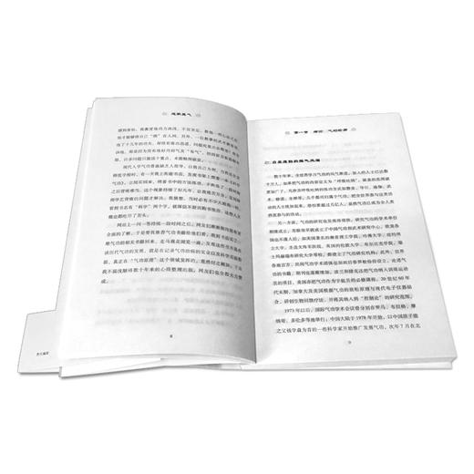 正版 道家真气 气功修炼次第 湛若水著 传承两千余年的梅花门修炼心得 气功初学者修炼入门指南 道家真气养生 海南出版社 商品图4