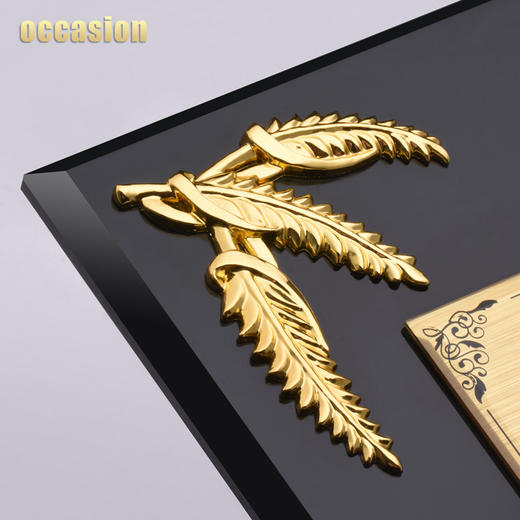 水晶奖牌定制奖杯定做金属金箔加盟证书儿童荣誉牌匾授权牌制作 商品图3