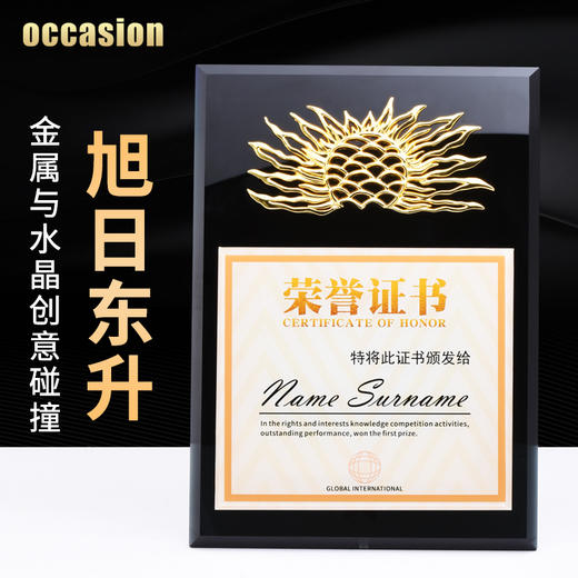 金属太阳水晶奖牌定制定做奖杯企业加盟代理荣誉证书授权牌制作 商品图0