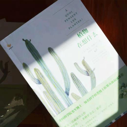 第十四届文津图书奖科普类入围书籍《植物在想什么》中科院植物学博士、果壳阅读策划人、玉米实验室创始人史军作序！ 商品图2