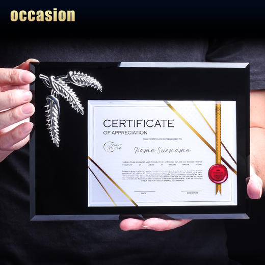 水晶奖牌定制奖杯定做金属金箔加盟证书儿童荣誉牌匾授权牌制作 商品图4