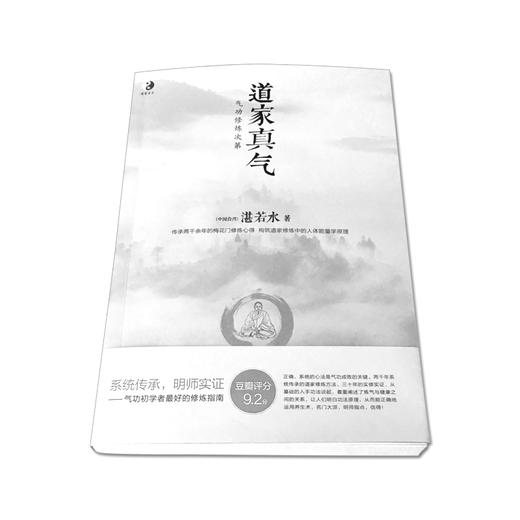 正版 道家真气 气功修炼次第 湛若水著 传承两千余年的梅花门修炼心得 气功初学者修炼入门指南 道家真气养生 海南出版社 商品图1