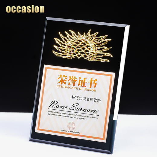 金属太阳水晶奖牌定制定做奖杯企业加盟代理荣誉证书授权牌制作 商品图3