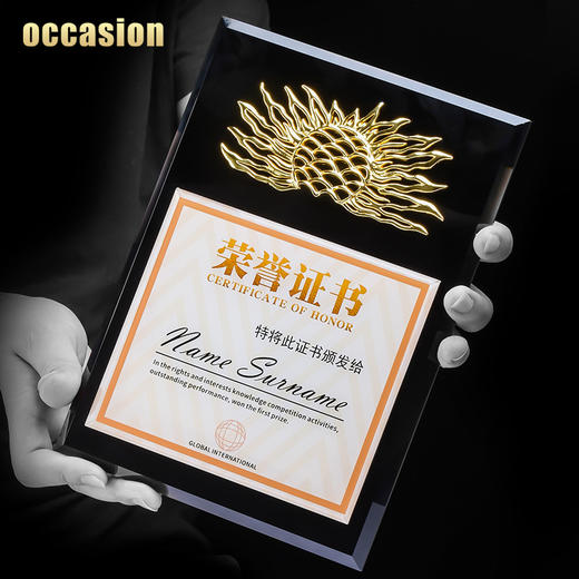 金属太阳水晶奖牌定制定做奖杯企业加盟代理荣誉证书授权牌制作 商品图2