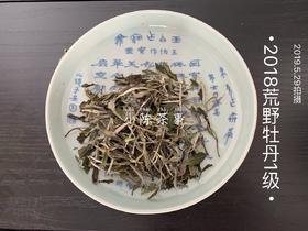 2018高山一级荒野牡丹，从鲜爽动人到丰润沛泽