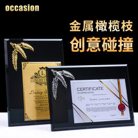 水晶奖牌定制奖杯定做金属金箔加盟证书儿童荣誉牌匾授权牌制作