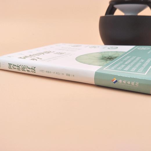 阿育吠陀疗法 米歇尔&middot;S&middot;芳汀 著 起源印度的生命科学 通过饮食、瑜伽等达到身心灵全面愈疗指南 保健养生时尚美妆书HN 商品图2