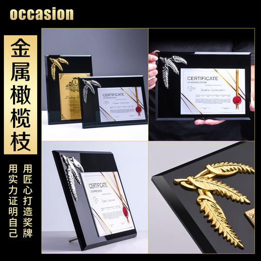 水晶奖牌定制奖杯定做金属金箔加盟证书儿童荣誉牌匾授权牌制作 商品图1