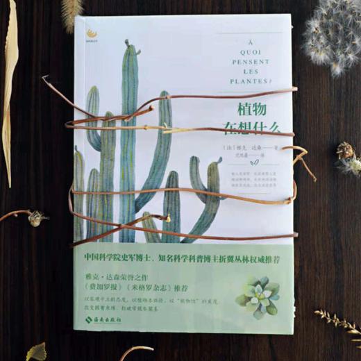 第十四届文津图书奖科普类入围书籍《植物在想什么》中科院植物学博士、果壳阅读策划人、玉米实验室创始人史军作序！ 商品图1