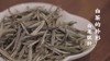 13.白茶的外形（白毫银针） 商品缩略图0