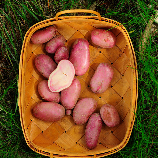 锄禾花心土豆500g