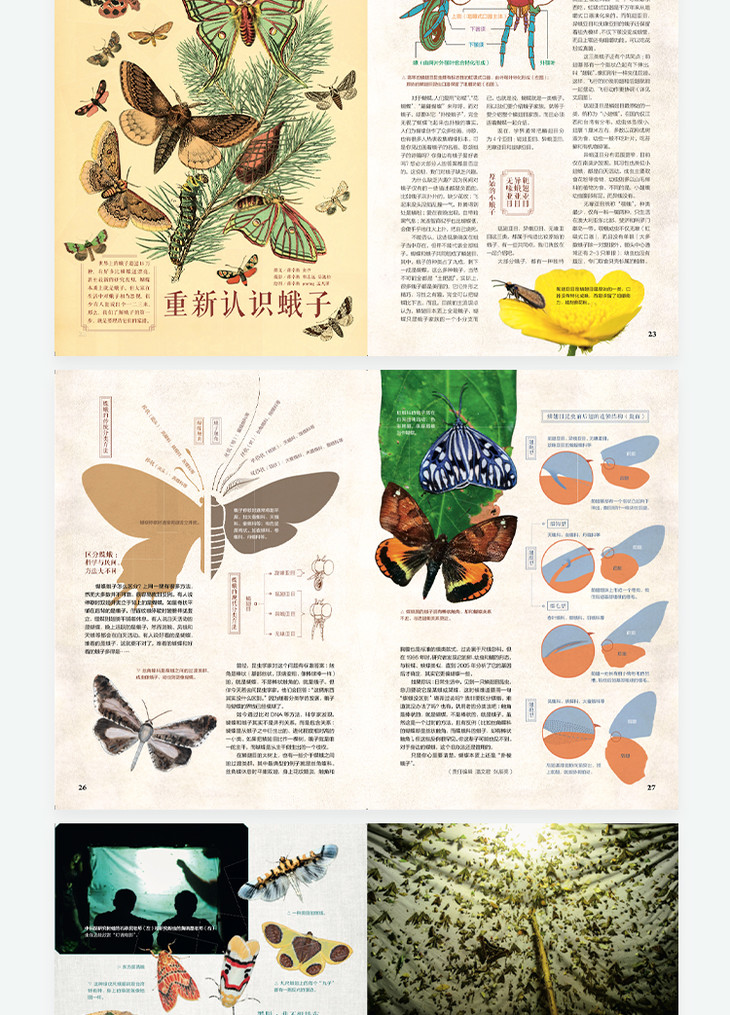 博物小馆原创博物君博物杂志6月刊