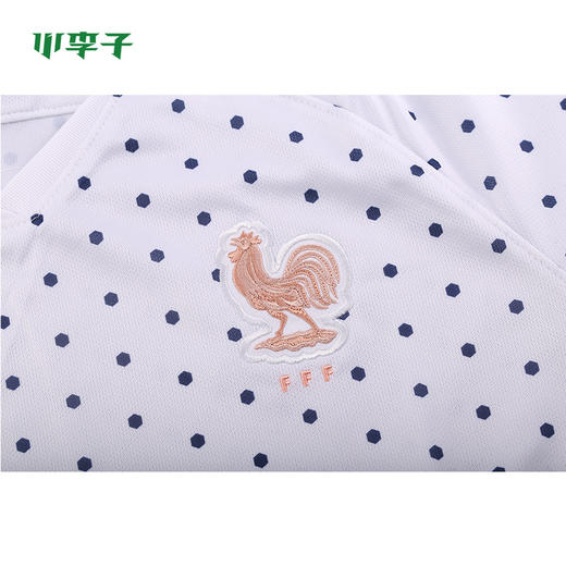 Nike耐克AW法国队女足世界客场球衣短袖AJ4393100 商品图3