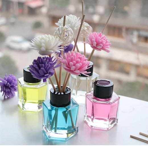 室内防蚊虫香薰除味香薰车载香薰空气清香剂TZW 商品图2