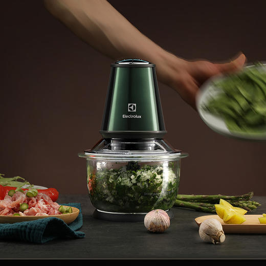 EGFP2010 绞肉机（食品处理机） 商品图5