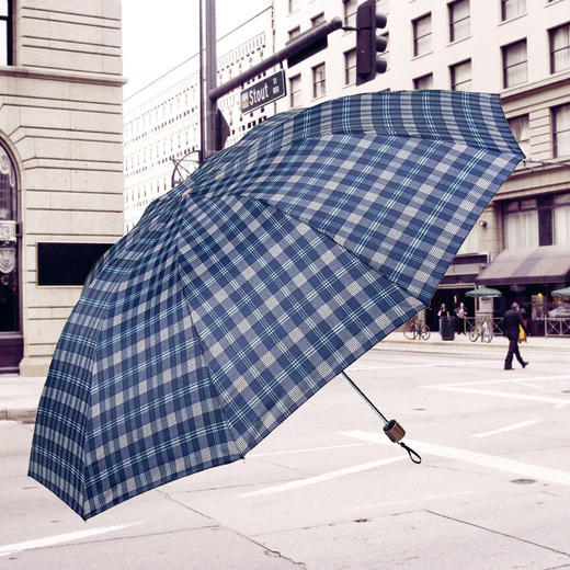 美人鱼经典格子商务伞 10骨户外便携式遮阳防雨两用晴雨伞 商品图0