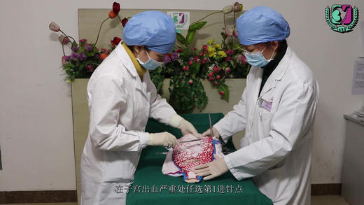 剖宫产子宫缝合技术及保留子宫的外科止血技术示范 商品图0