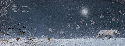 娃娃龙原创图画书 永不停止的奔跑 曹文轩作品 一只狗的故事 商品图9