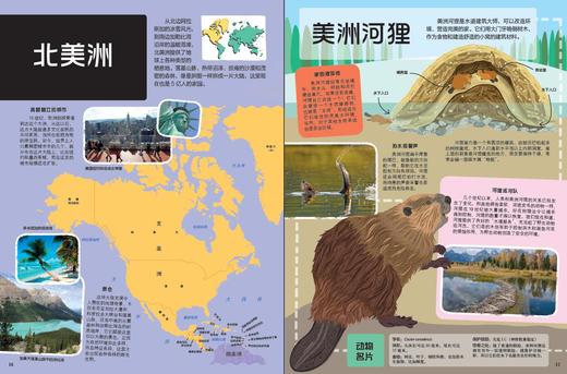 【2册】孤独星球 童书系列 给孩子的旅行书：地球 动物 商品图6