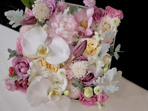 蝴蝶兰精品礼盒 商品图2