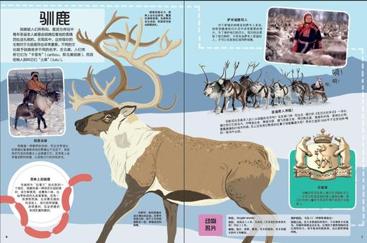 【2册】孤独星球 童书系列 给孩子的旅行书：地球 动物 商品图3