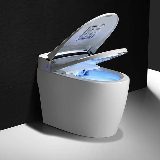 圣托玛斯-STC-17I智能马桶 商品图2