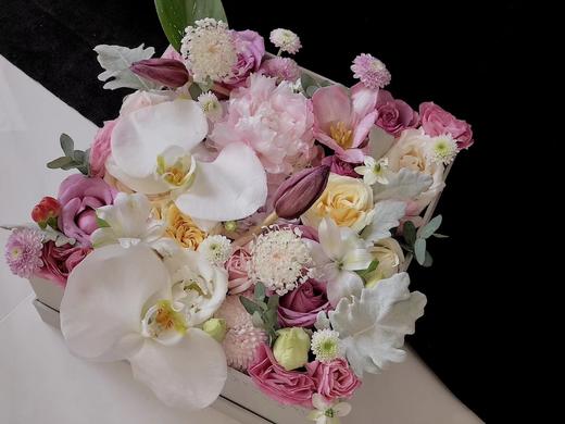 蝴蝶兰精品礼盒 商品图5