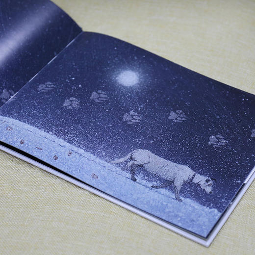 娃娃龙原创图画书 永不停止的奔跑 曹文轩作品 一只狗的故事 商品图3